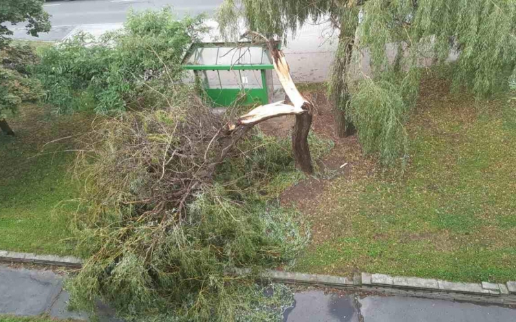 Pusztított a tegnap esti vihar Sopronban
