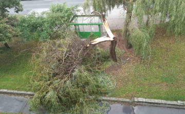 Még vasárnap is munkát adott a csütörtöki vihar