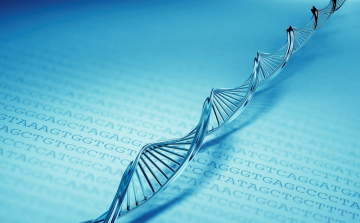 Az öröklődés eddig ismeretlen típusát fedezte fel egy magyar orvoscsoport