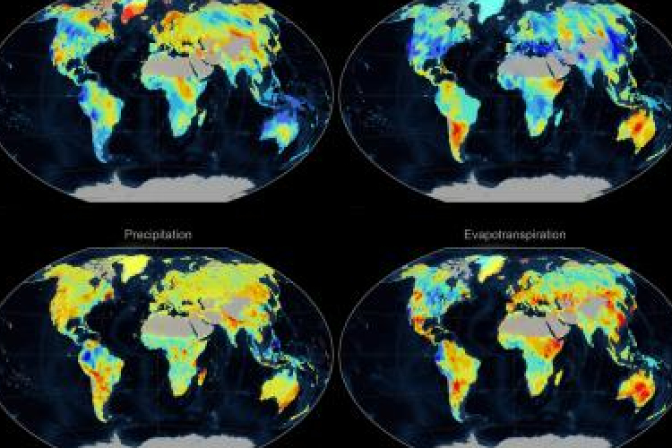 Számszerűsítették az emberi tevékenység növényzetre gyakorolt hatását