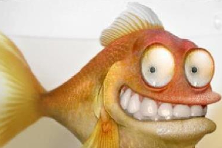 A horgászsportot és a horgászturizmust támogatja az új törvénytervezet