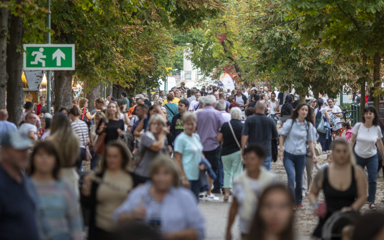 Remekül telt az idei Soproni Szüreti Napok is