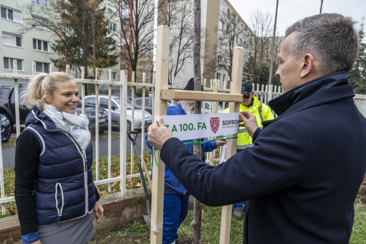 Elültették a 100. új fát Sopronban