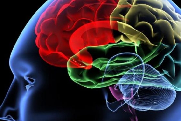 Alzheimert okozhat az agyrázkódás? 