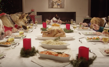 13 kutya és 1 macska karácsonyi vacsorája 