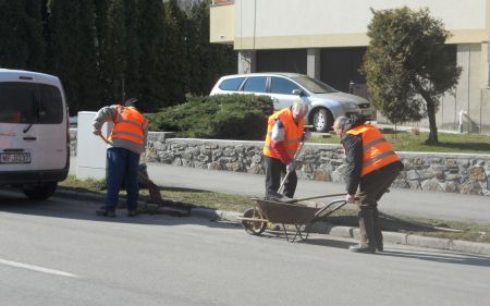 Nyilvános tavaszi parktakarítás