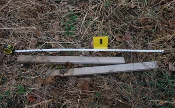 Raklappal, fadarabokkal és acélbetétes bakanccsal végeztek áldozatukkal a soproni gyilkosok