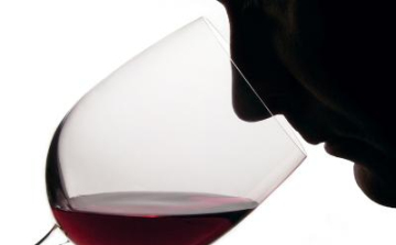 Szik Mátyás lett Magyarország idei sommelier bajnoka