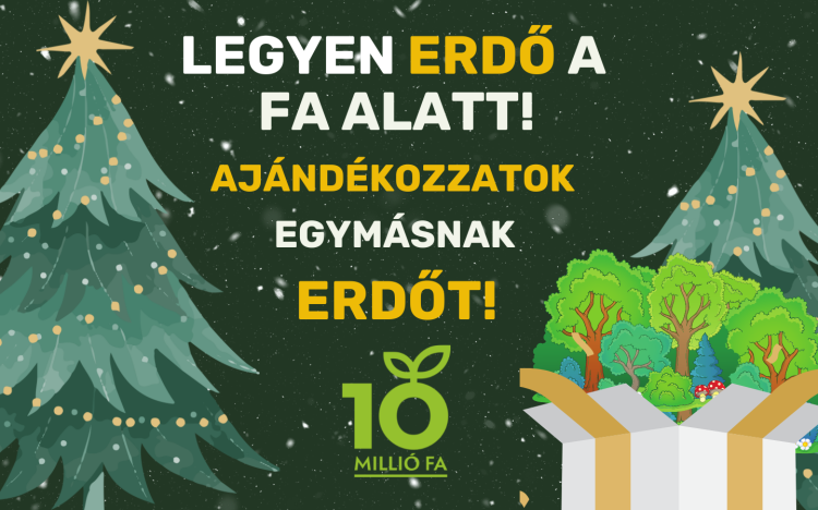 Ajándékozzunk egymásnak jövőt és reményt!