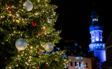 Már keresik Sopron idei karácsonyfáját