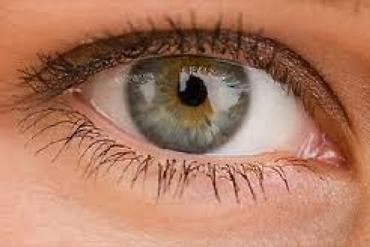 Mit árul el a szem az agyról? 