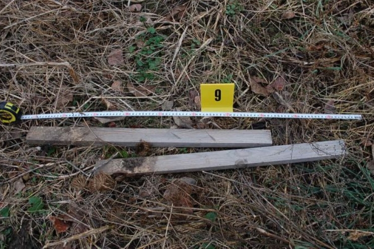 Raklappal, fadarabokkal és acélbetétes bakanccsal végeztek áldozatukkal a soproni gyilkosok