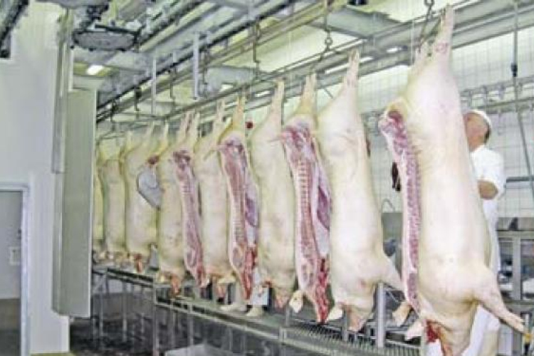 Elégedetlen az MSZP a bejelentett sertésáfa-csökkentéssel