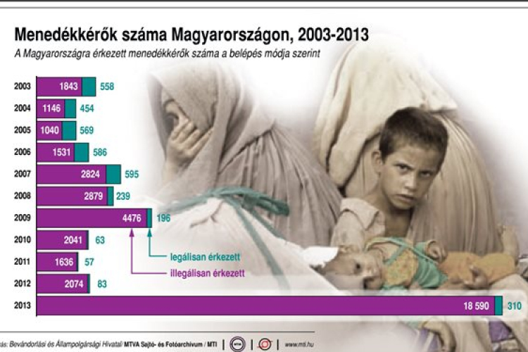 Végh Zsuzsanna: tömegesen érkeznek a menedékjogi kérelmek