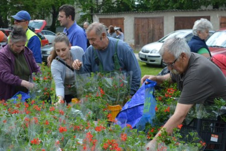 Virágba borulhat Sopronkőhida és a Tómalom környéke