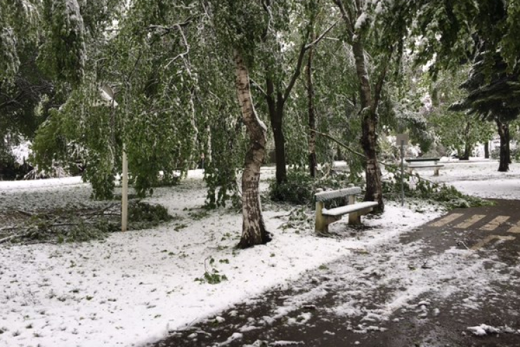 Komoly munkát okozott a Sopron Holdingnak a tavaszi havazás