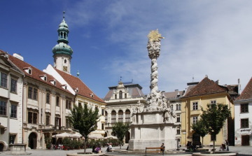 Sopron január havi közgyűlésének napirendi pontjai