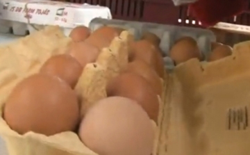 Baromfi Termék Tanács: irreális tojásakciók az üzletekben