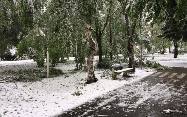 Komoly munkát okozott a Sopron Holdingnak a tavaszi havazás
