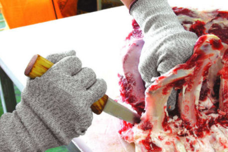 Coface: nagy gondokkal küzd a magyar húsipar, elsősorban a sertéságazat