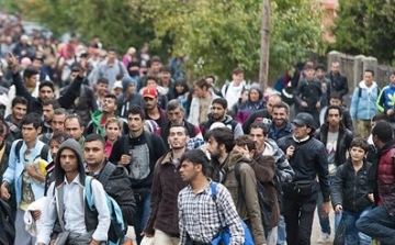 Ismét nő a migránsok száma a szerb-magyar határ közelében