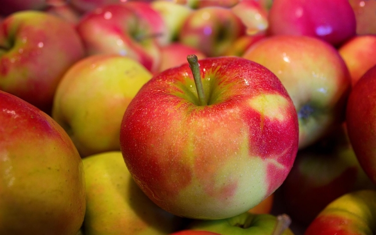 Elindult a magyar alma fogyasztását és vásárlását ösztönző kampány