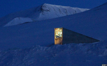 Már nyolcszázezer növényfajt őriznek a globális magtárban