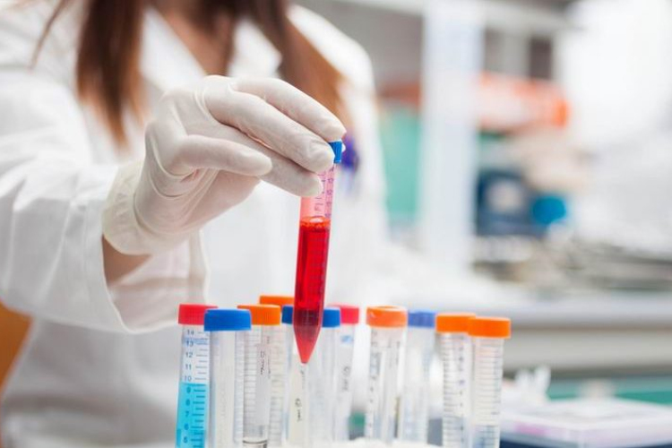 Emberen tesztelték a sejteket megfiatalító kezelést