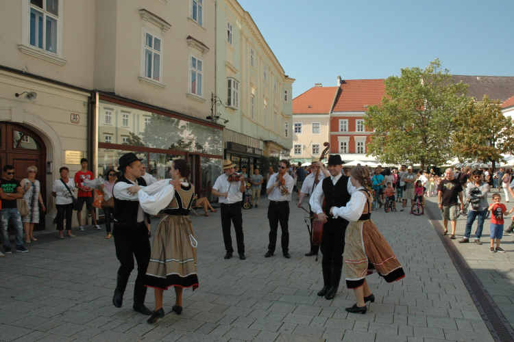 Bécsújhely vendége volt Sopron