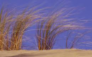 Erős széllel jön a hidegfront