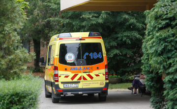 Soproni házibuliból vitték a koronavírust Vas megyébe