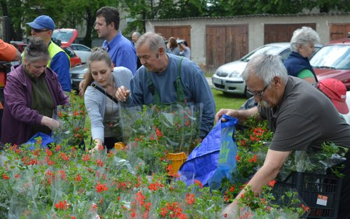 Virágba borulhat Sopronkőhida és a Tómalom környéke