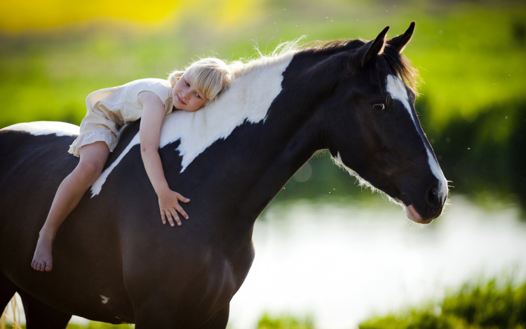 Mátrai Márta: a lovasterápia nagy lehetőség a gyerekeknek a gyógyulásra