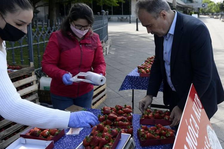 A friss és ízletes magyar földieper a legjobb választás a családoknak