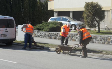 Nyilvános tavaszi parktakarítás