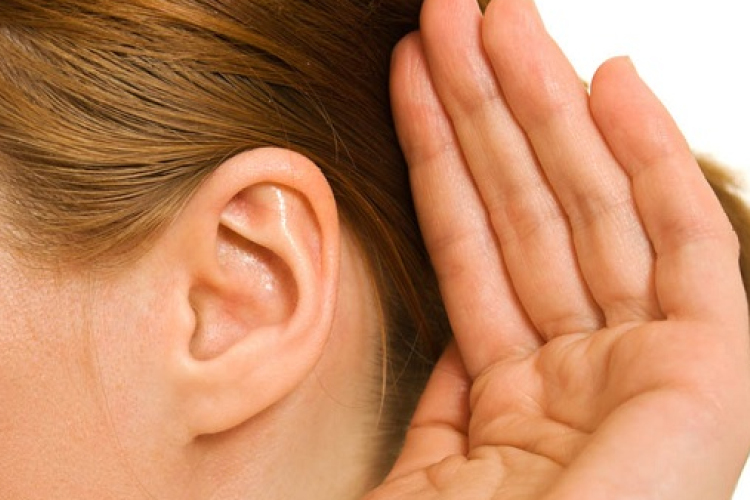 Fület és orrot hoztak létre ősejtből