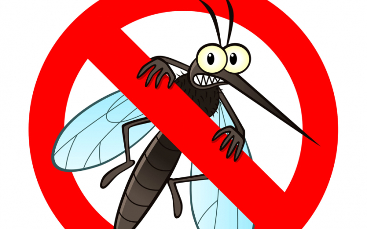 Csaknem hetvenezer hektáron gyérítik a szúnyogokat a héten