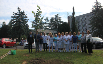 50 éves a Balfi Gyógyfürdőkórház