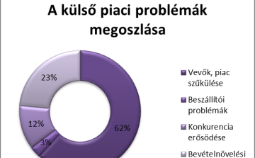 A belső kihívások jobban fékezik a magyar cégeket, mint a válság